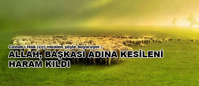 Allah, başkası adına kesileni haram kıldı