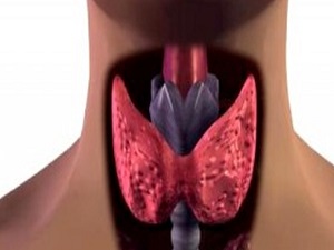 Türkiye'de kadınlar tiroid kanserinde açık hedef