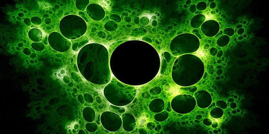 Ekvador�da domuz gribi 3 ayda 84 kişinin ölümüne neden oldu