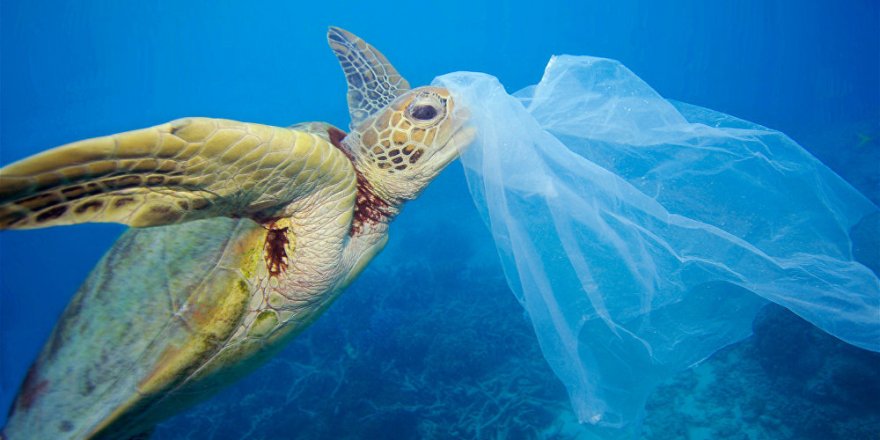 'Denize en çok plastik döken 6. ülke': Tayland, yeni yıla plastik poşet yasağıyla girdi