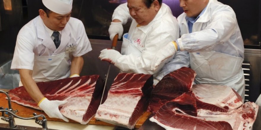 Tokyo'da orkinos balığı 11 milyon liraya satıldı