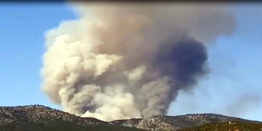 Ankara'da orman yangını
