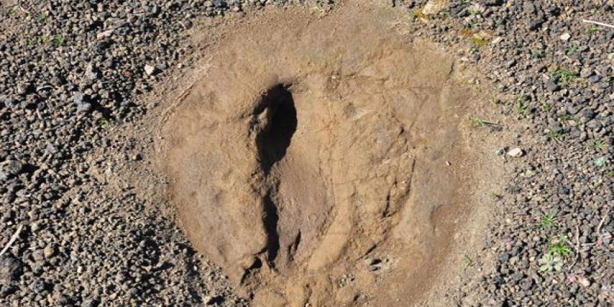 Kula-Salihli UNESCO Global Jeoparkı'ndaki ayak izleri 5 bin yıllık çıktı