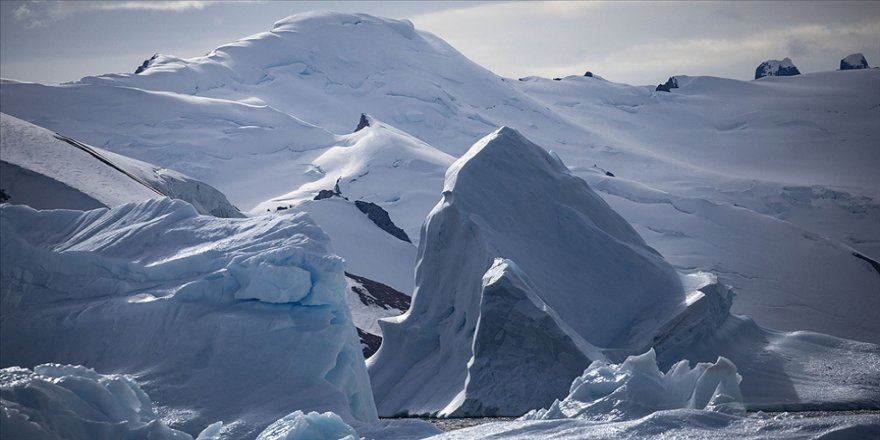 Artan ziyaretçiler Antarktika'nın el değmemiş doğasını tehdit ediyor