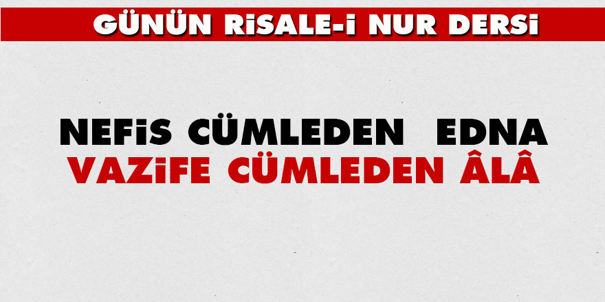 Nefis cümleden  edna, vazife cümleden âlâ - Vimarsana News
