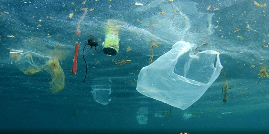 Akdeniz'de artan mikroplastikler hem deniz canlılarını hem insanları tehdit ediyor