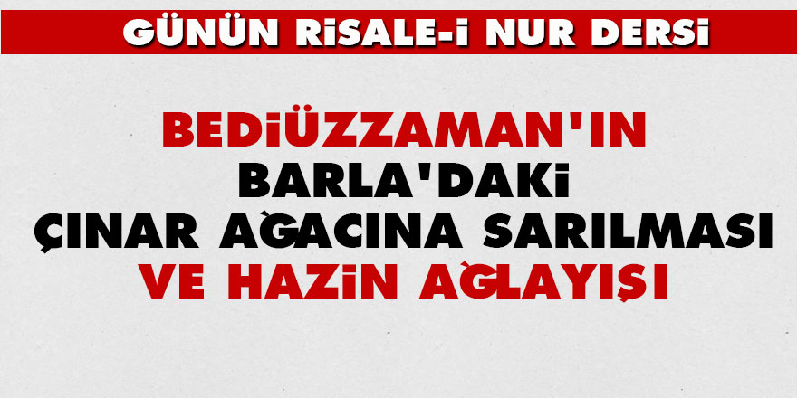 Bediüzzaman'ın Barla'daki çınar ağacına sarılması ve hazin ağlayışı - Vimarsana News
