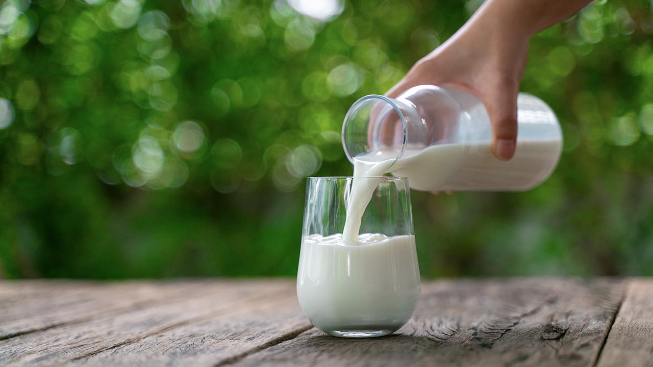 Çiğ süt tavsiye satış fiyatının 4 lira 70 kuruşa yükseltildi