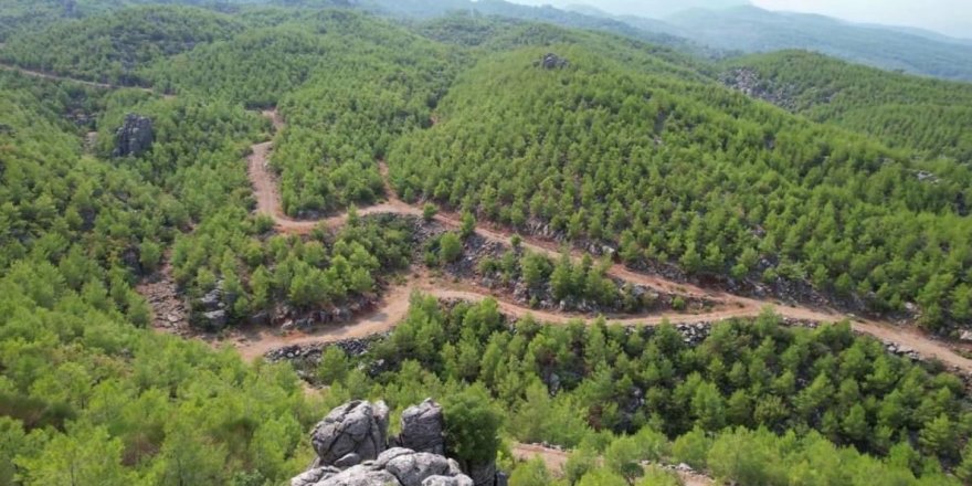 Hatay'da Kasım ayına kadar ormanlara giriş yasaklandı