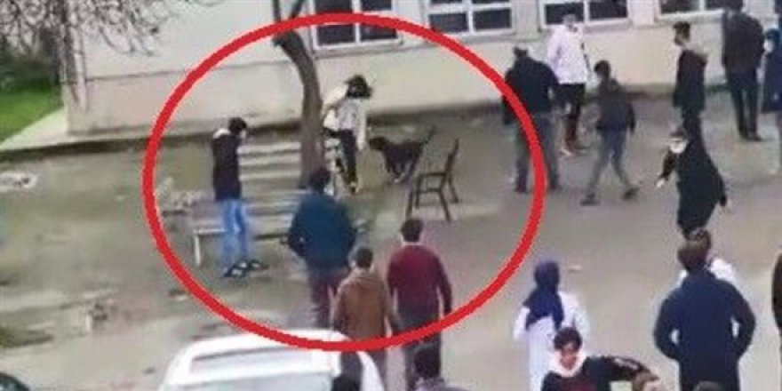 Pitbull okula girdi öğrencilere saldırdı: 5 yaralı