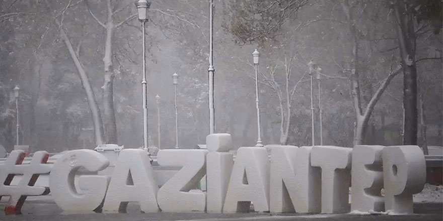 Gaziantep’te soğuk hava ve don etkili