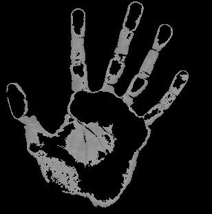 el yazisi ile karakter analizi