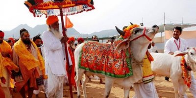 Hindistan'da ineğin Tanrılığı bahane maksat Müslümanları linç etmek