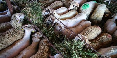 Kurban kesmenin dindeki yeri nedir?