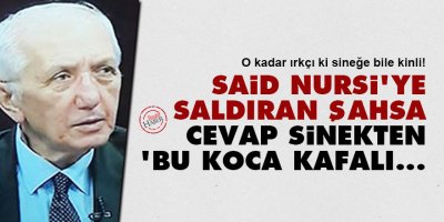 Said Nursi'ye saldıran Cazim Gürbüz'e cevap sinekten: Bu koca kafalı...