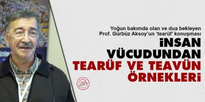 İnsan Vücudundan Tearüf ve Teavün Örnekleri