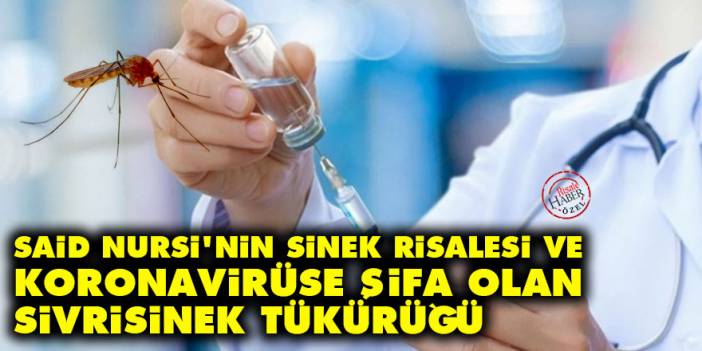 Said Nursi'nin Sinek Risalesi ve koronavirüse şifa olan sivrisinek tükürüğü