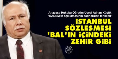 İstanbul Sözleşmesi, 'bal'ın içindeki zehir gibi