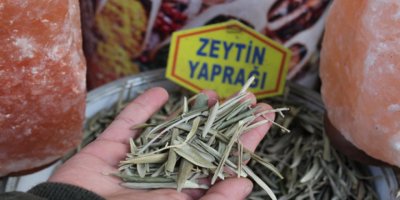 Kainat eczanesinden zeytin yaprağı ve kekik bağışıklık sistemini güçlendiriyor