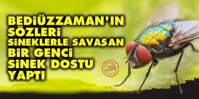 Bediüzzaman'ın sözleri sineklerle savaşan bir genci sinek dostu yaptı