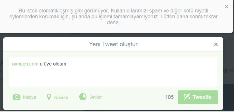 ayneen sosyal ağ sosyal medya paylaşım sitesi