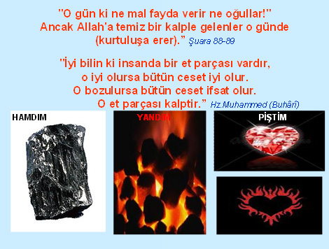 3.20130522064928.jpg 3.20130522064928.jpg