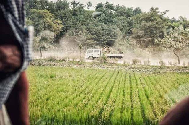 4_7392.jpg 4_7392.jpg