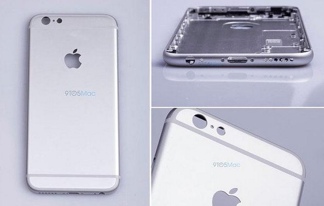 apple_9947.jpg apple_9947.jpg