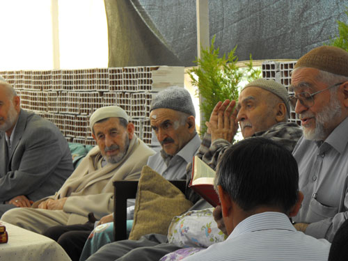 camlik1.jpg camlik1.jpg