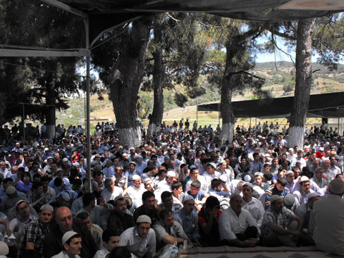 camlik2.jpg camlik2.jpg