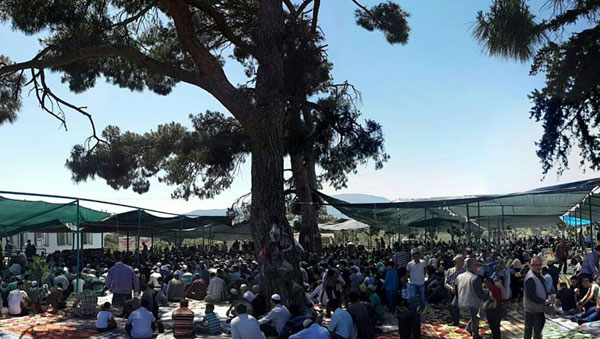 camlikmevlid2.jpg camlikmevlid2.jpg