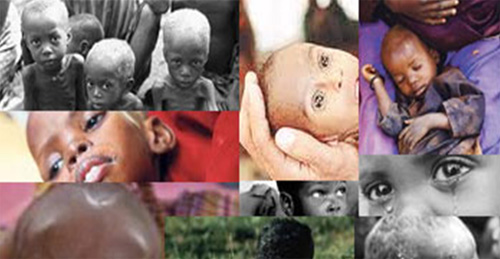 care2.20130716103153.jpg care2.20130716103153.jpg