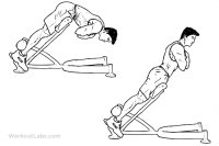 dumbbell_upright_row1.png dumbbell_upright_row1.png