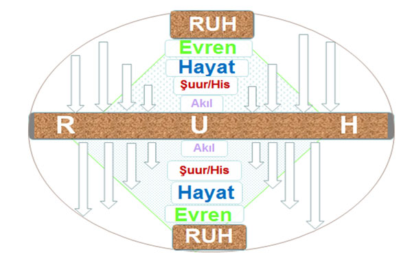 erdem1.20140606083609.jpg erdem1.20140606083609.jpg