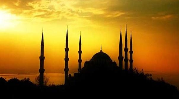 fft99_mf5822937.jpeg fft99_mf5822937.jpeg