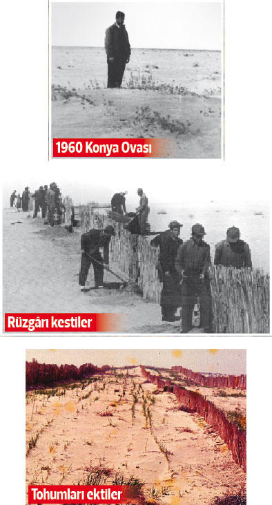 konya_agaclandirma.jpg