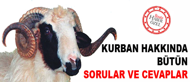 kurban_koc_b.jpg