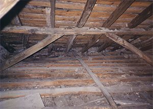 nazifcelebi_tavanarasi.jpg nazifcelebi_tavanarasi.jpg