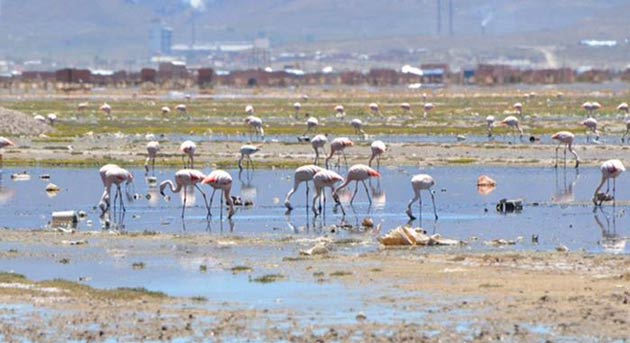 popoo-golu--002.jpg Popoo Gölü