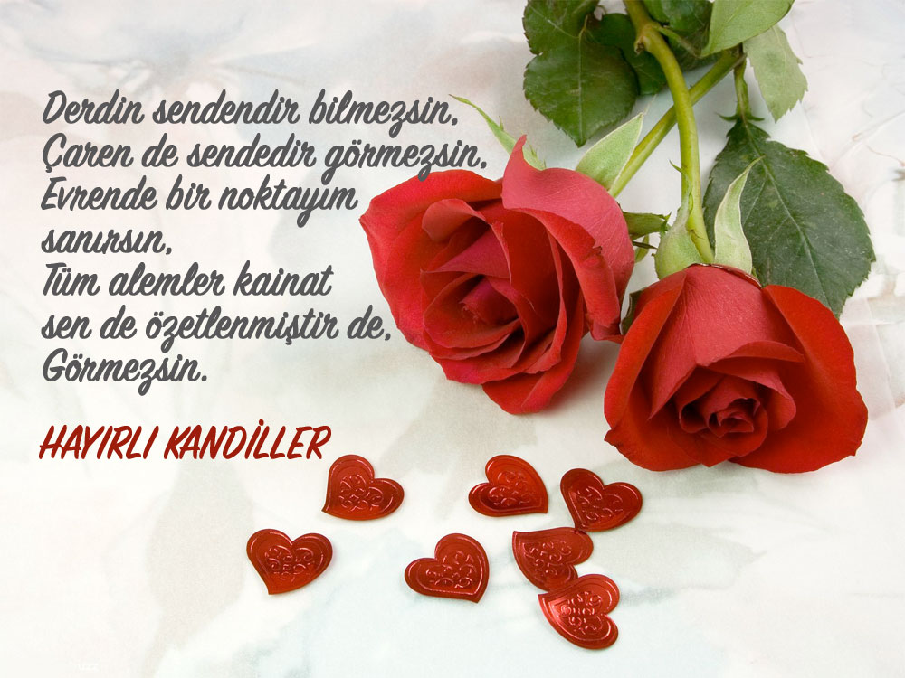 regaip-3-001.jpg regaip-3-001.jpg