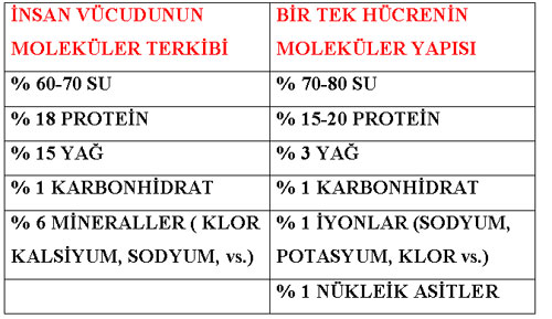 tablo1.jpg tablo1.jpg