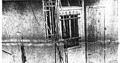 terzi-nur-2.jpg terzi-nur-2.jpg