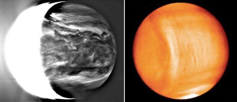 venus1.jpg