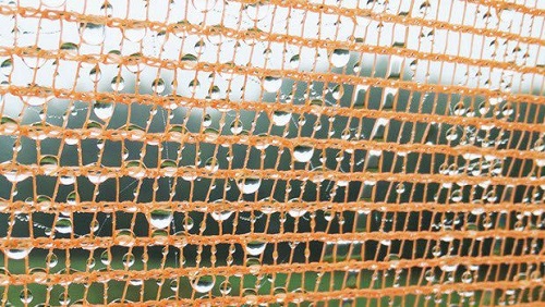 xwqsy_1420904556_1154.jpg xwqsy_1420904556_1154.jpg