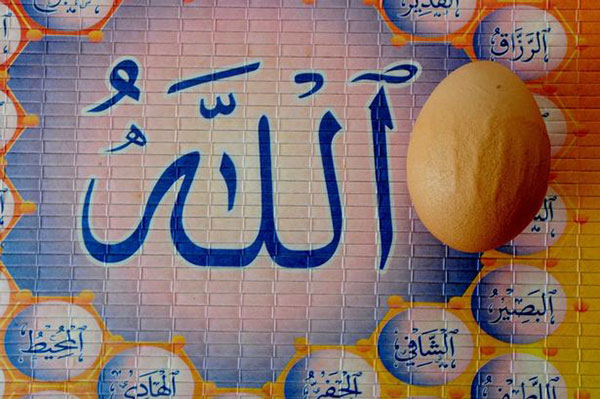 yumurta_allah.jpg
